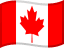 CAD flag